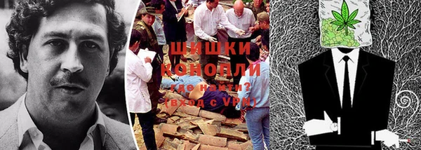 прущий лед Нея